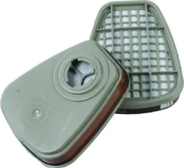 Afbeelding voor categorie Gelaatmasker filters